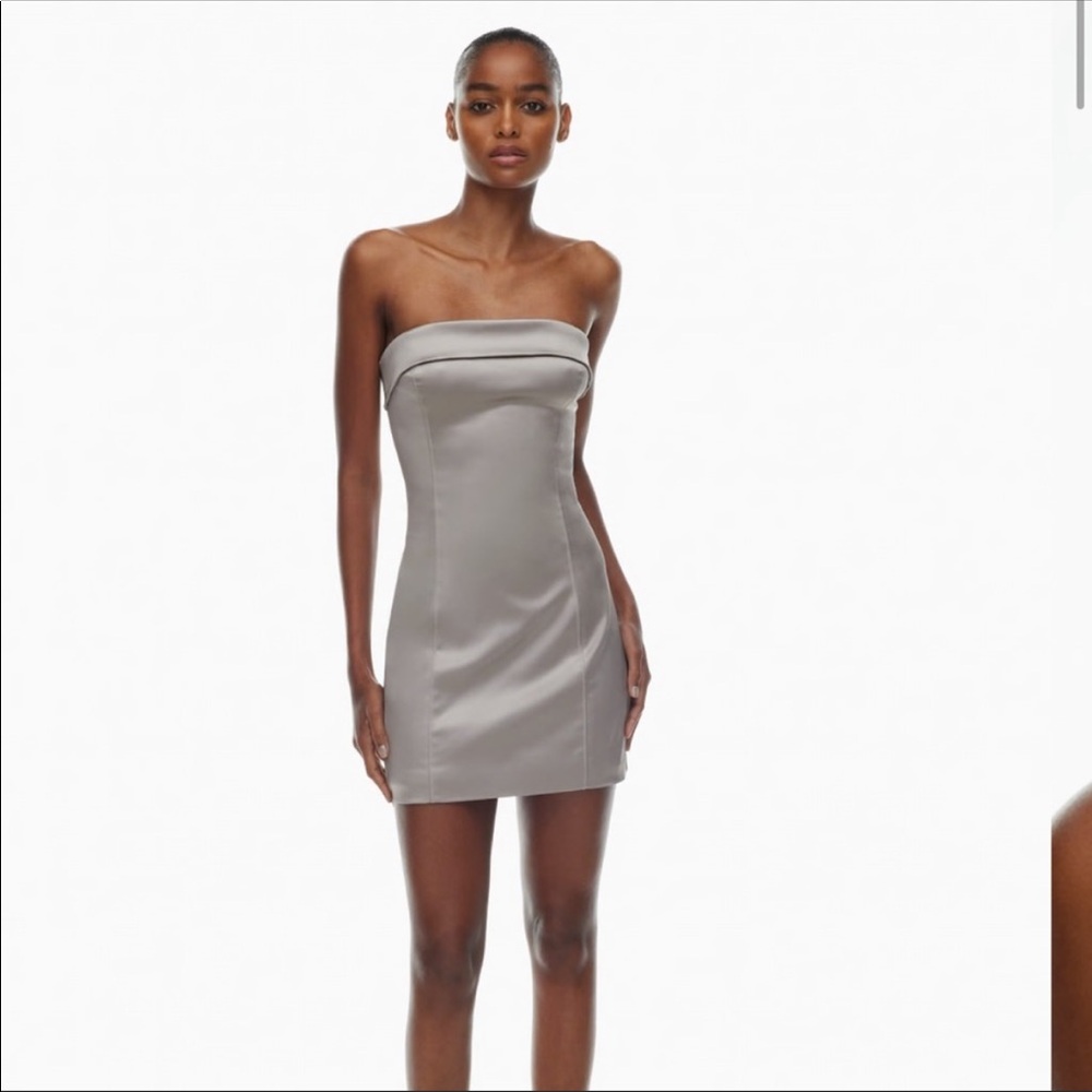 Aritzia Silver Strapless Mini Dress